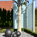 Sichtschutz Glasscheiben Sichtschutz Glasscheiben