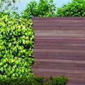 Felixwood Sichtschutz Modern Felixwood Sichtschutz Modern