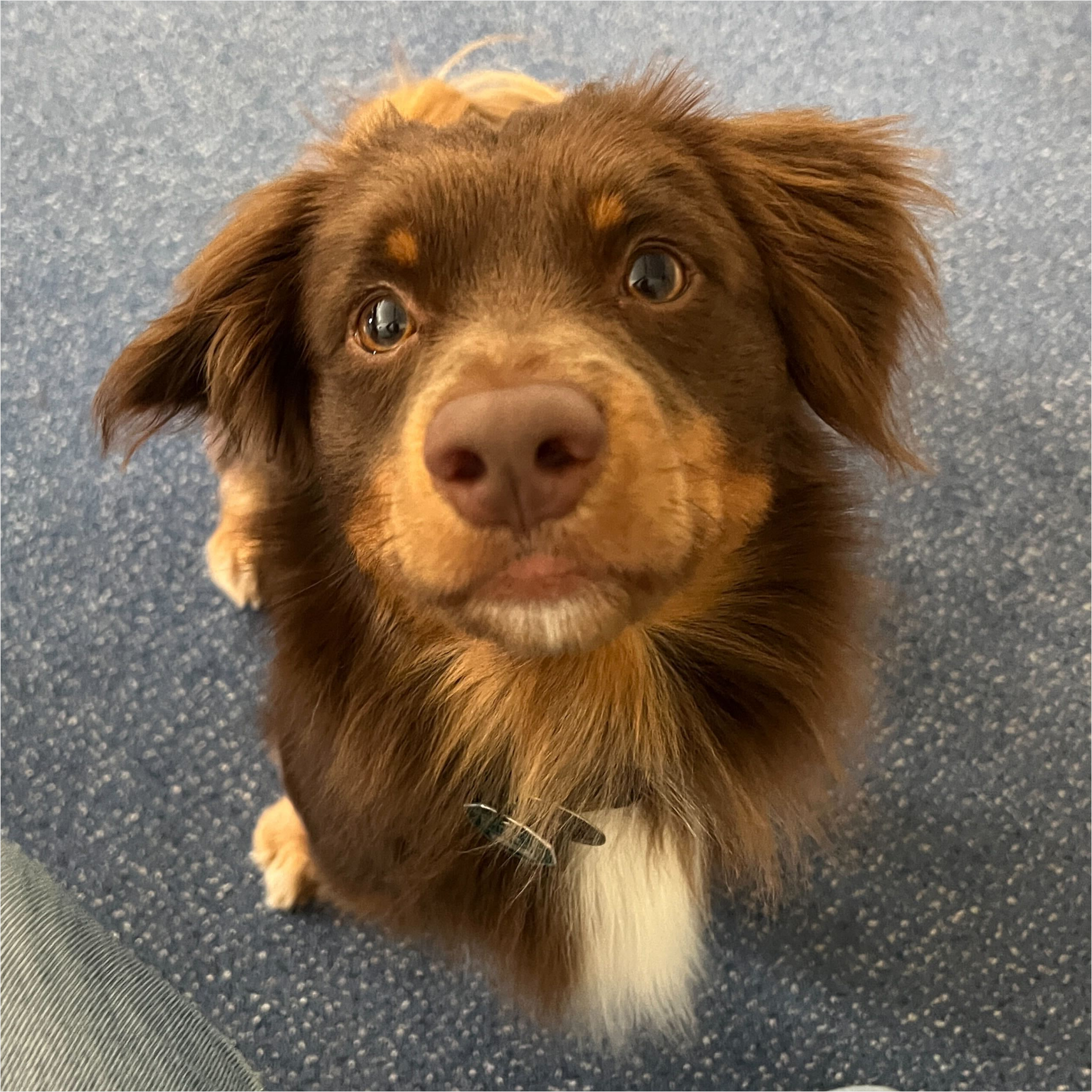 Bild von Freundlicher Arbeitsplatz