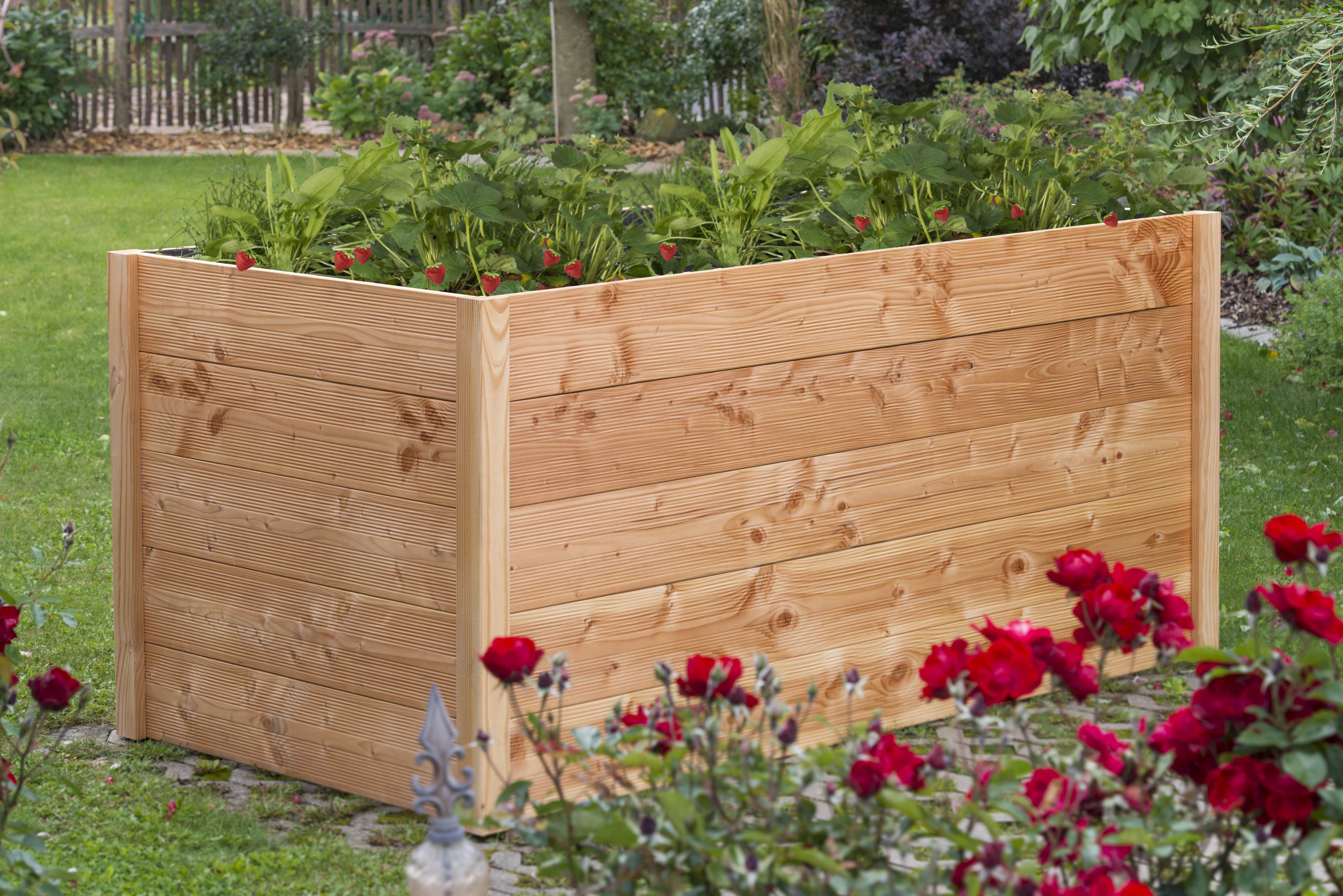 BM TYP 525 Hochbeet 209 x 109 x 76 cm, Douglasie natur