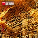 Vorschaubild NOOR Raschelsäcke 5kg 32 x 48 cm lose