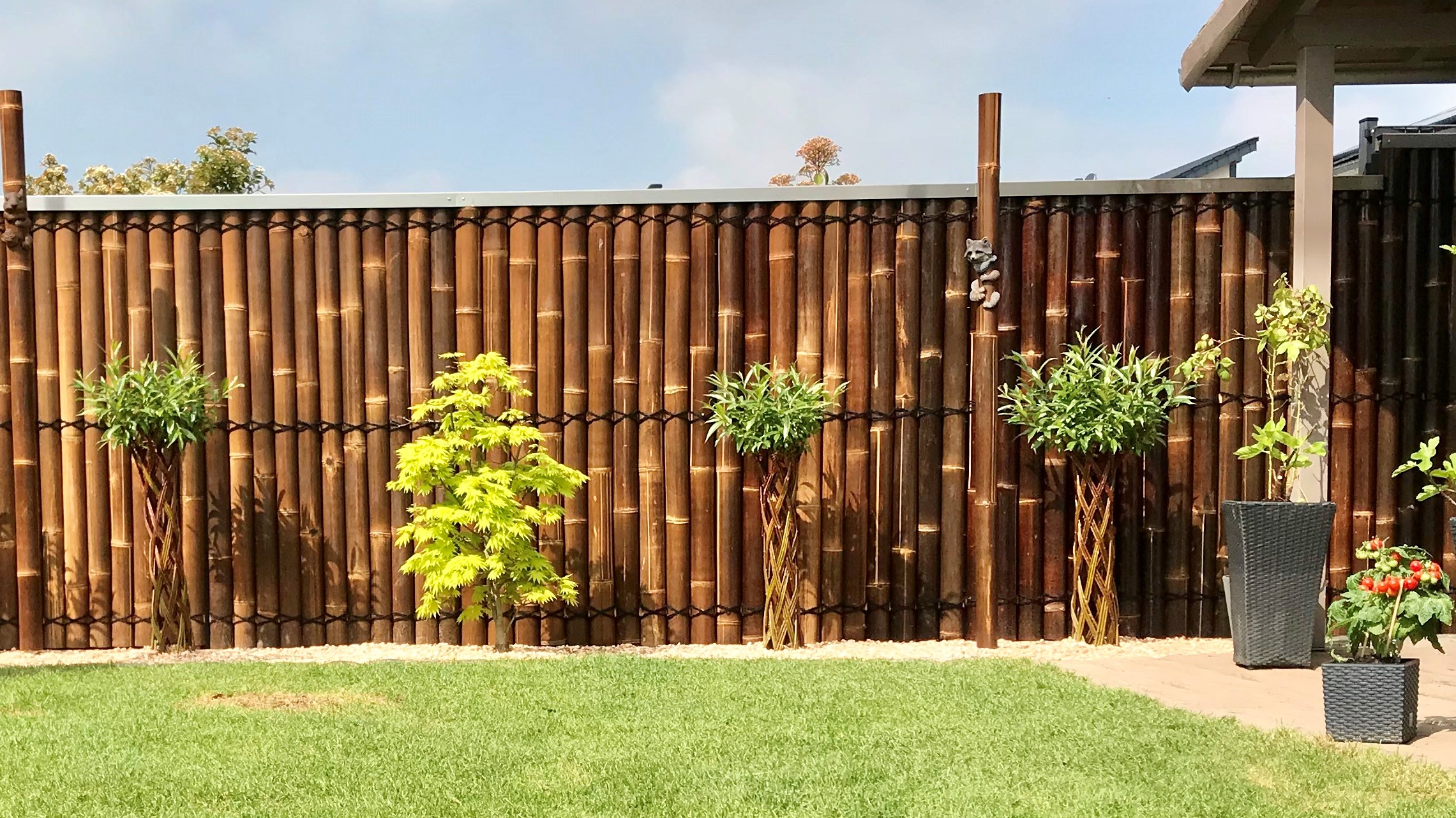 BambusBASIS Bambushalbzaun