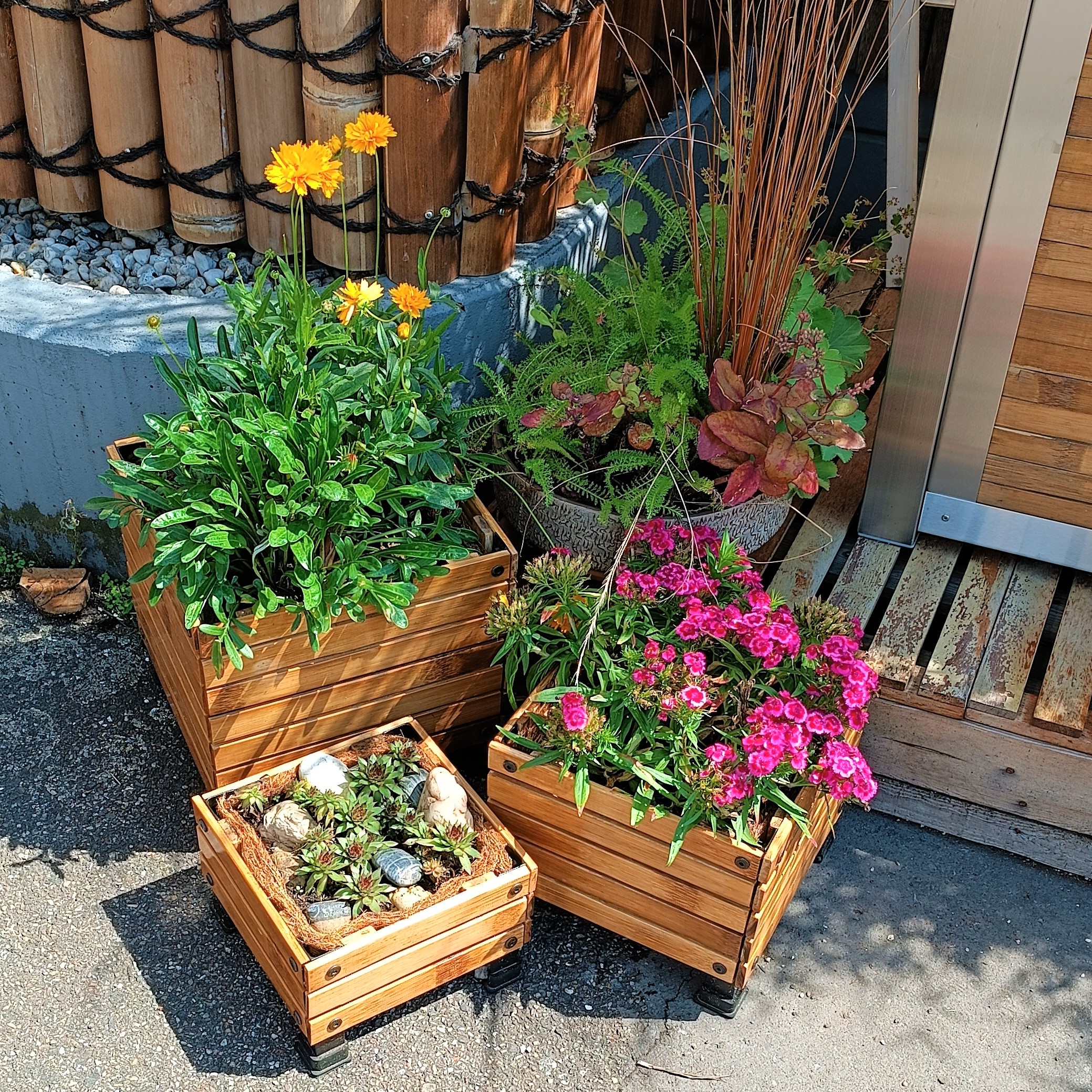 BambusBASIS Pflanzkübel - quadratisch, 3er-Set (S, M, L)