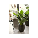 Vosteen Design Blumentopf / Pflanzgefäß Terrakotta schwarz ø 20 cm x H 22 cm Vosteen Design Blumentopf / Pflanzgefäß Terrakotta schwarz ø 20 cm x H 22 cmZubehörbild