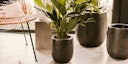 Vorschaubild Vosteen Design Blumentopf / Pflanzgefäß Terrakotta schwarz ø 26 cm x H 30 cm