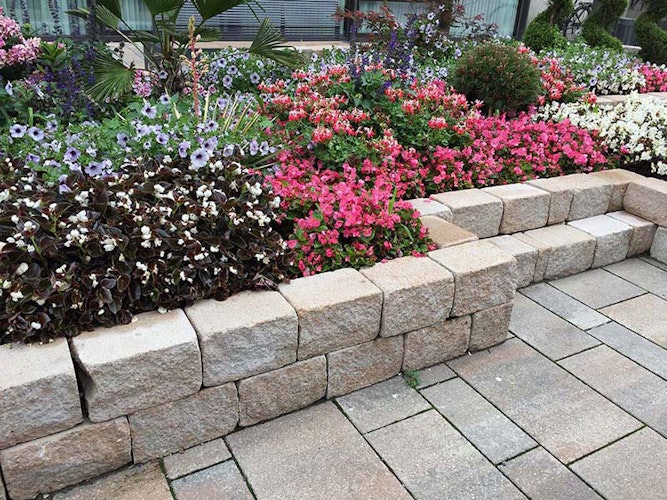 Diephaus Mauersteine SIOLA-MINI