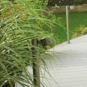 Vorschaubild UPM ProFi Terrassendiele Design Deck-Silbergrün