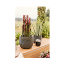 Vorschaubild Vosteen Design Blumentopf /  Pflanzgefäß Terrakotta schwarz 3er Set ø 21 cm x H 19 cm, 29 cm x H 24 cm, 37 cm x H 30 cm