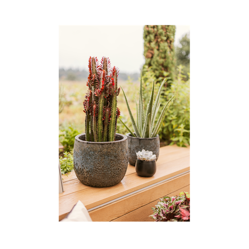 Vosteen Design Blumentopf /  Pflanzgefäß Terrakotta schwarz 3er Set ø 21 cm x H 19 cm, 29 cm x H 24 cm, 37 cm x H 30 cm