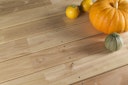 Vorschaubild FelixWood®  Terrassendiele Robinie Glatt/Glatt 22 x 120 mm