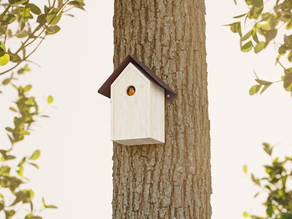 Alberts® Schutzspitzdach für Futterhaus