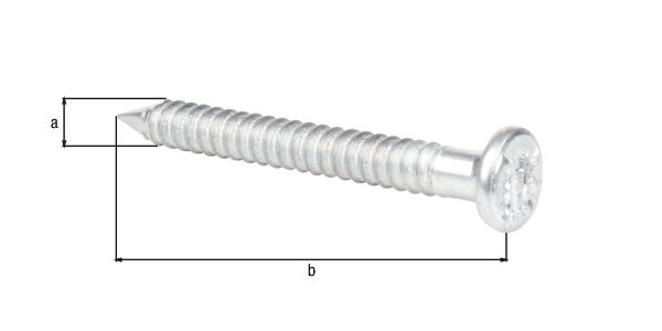 Alberts® Ankernagel verzinkt ⌀4 mm Länge 40 mm in Hängebox verpackt à 50 St. 