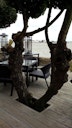 Vorschaubild Millboard® Terrassendiele WEATHERED Oak Driftwood 3600 mm