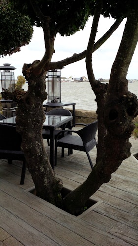 Millboard® Terrassendiele WEATHERED Oak Driftwood 3600 mm