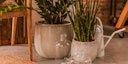 Vorschaubild Vosteen Design Blumentopf / Pflanzgefäß Terrakotta weiß ø 37 cm x H 30 cm