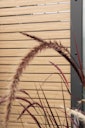Vorschaubild Traumgarten System Rhombus Vorgartenzaun 1800 x 900 mm