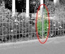 Vorschaubild Alberts® Zaunsystem Madrid Zaunfeldpfosten zum Einbetonieren
