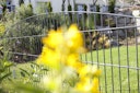 Vorschaubild dz Schmuckzaunmatte Residenz standard SYDNEY