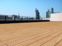 Vorschaubild FelixWood®  Terrassendiele Robinie Glatt/Glatt 22 x 120 mm