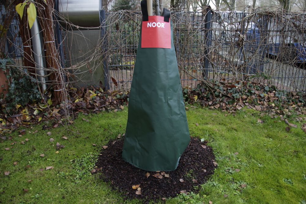 NOOR Frogbag Bewässerungssack 100l