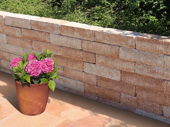 Diephaus Mauerstein RISO MINI 40 x 15 x 10 cm