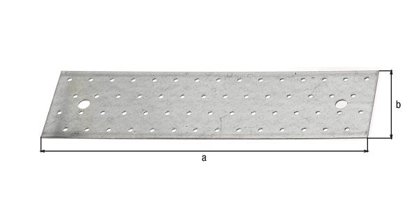 Alberts® Lochplatte  300x80 mm
