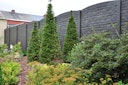 Vorschaubild ORIGI WALLS™ Beton Sichtschutz RÖMISCHER VERBUND 395 x 2000 mm 