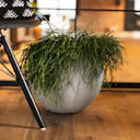 Vorschaubild Klocke Design Pflanzgefäß / Blumentopf Betonoptik ⌀ 30 cm x H 26 cm