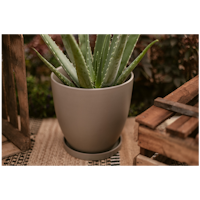 Wikholm form Design Untersetzer Terrakotta grün 3er Set ⌀ 19/23/28,5 cm