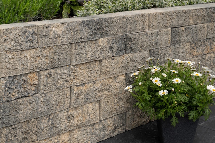 Diephaus Mauerstein RISO MINI 40 x 15 x 10 cm