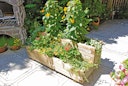 Vorschaubild T&J VITJA Blumenkübel B 100 x T 50 x H 40 cm, 2 Stufen inkl. Folieneinsatz