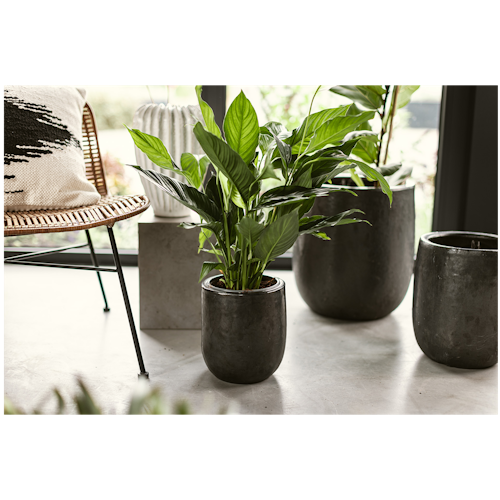Vosteen Design Blumentopf / Pflanzgefäß Terrakotta schwarz ø 36 cm x H 40 cm