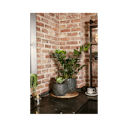 Vorschaubild Vosteen Design Blumentopf /  Pflanzgefäß Terrakotta schwarz ø 29 cm x H 24 cm