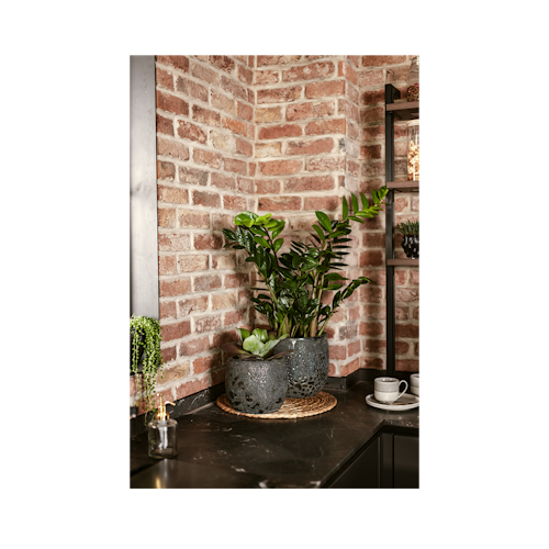 Vosteen Design Blumentopf /  Pflanzgefäß Terrakotta schwarz ø 29 cm x H 24 cm