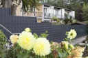 Vorschaubild dz Sichtschutzstreifen A1-Blickdicht - 35m