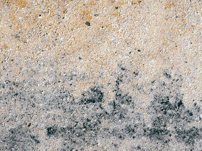 Diephaus Mauersteine TOSA 50 x 40 x 20 cm