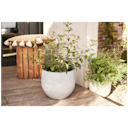 Vorschaubild Klocke Design Pflanzgefäß / Blumentopf 3er Set Betonoptik ⌀ 30 cm x H 26 cm; 37 cm x H 33 cm, 45 cm x H 39 cm