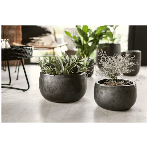 Vosteen Design Blumentopf /  Pflanzgefäß Terrakotta schwarz ø 30 cm x H 18 cm, 37 cm x H 22 cm
