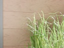 Vorschaubild TraumGarten Design WPC Alu Rahmen Silber 1800 x 1800 mm