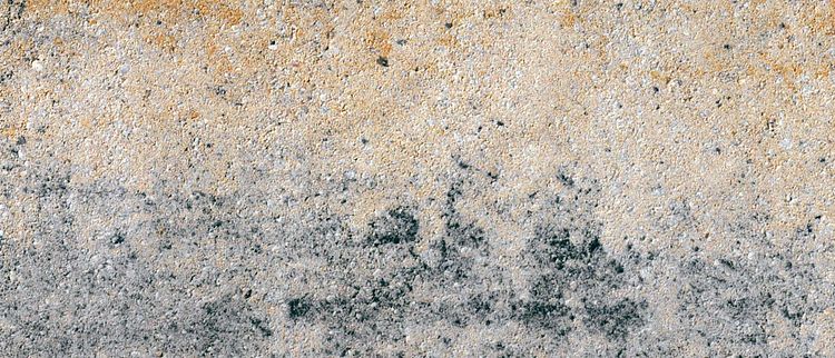 Diephaus VIA Blockstufe MUSCHELKALK 50/35/15 CM
