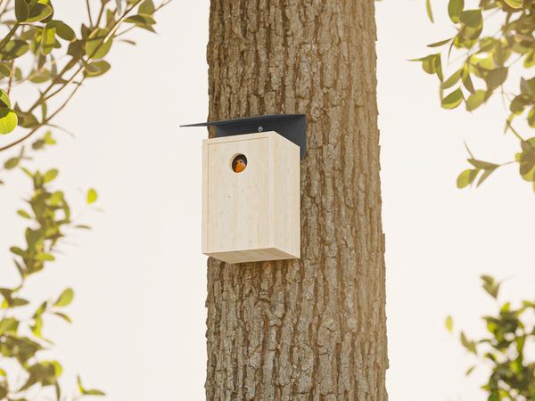 Alberts® Schrägschutzdach für Futterhäuser