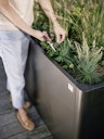 Vorschaubild Biohort Pflanzbeet Belvedere B 201 x T 53 cm X-Design