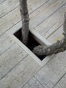 Vorschaubild Millboard® Terrassendiele WEATHERED Oak Driftwood 3600 mm