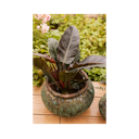 Vorschaubild Vosteen Design Blumentopf / Pflanzgefäß Terrakotta grün ø 40 cm x H 27 cm