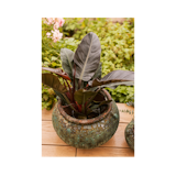 Vosteen Design Blumentopf / Pflanzgefäß Terrakotta grün ø 40 cm x H 27 cm Vosteen Design Blumentopf / Pflanzgefäß Terrakotta grün ø 40 cm x H 27 cmZubehörbild