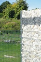 Vorschaubild Alberts® Cluster Gabione Anbau-Set 800 mm