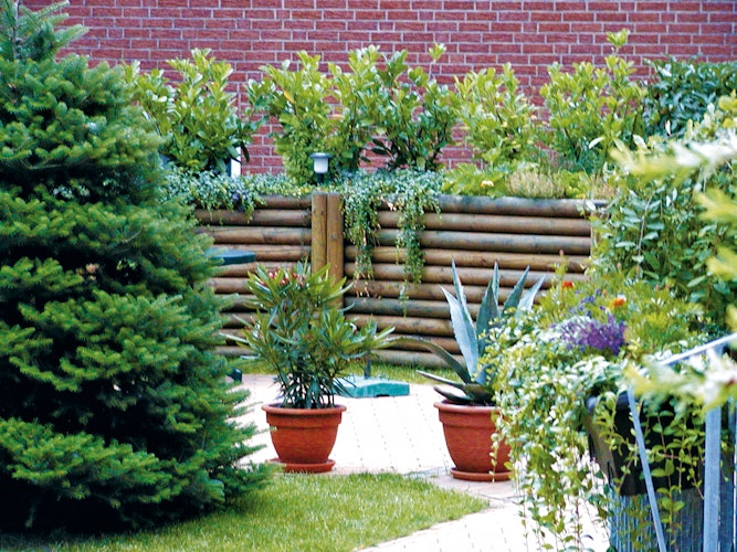 T&J Palisade