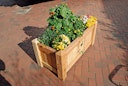 Vorschaubild T&J GÖTEBORG Blumenkübel Lärche B 100 x T 50 x H 50 cm