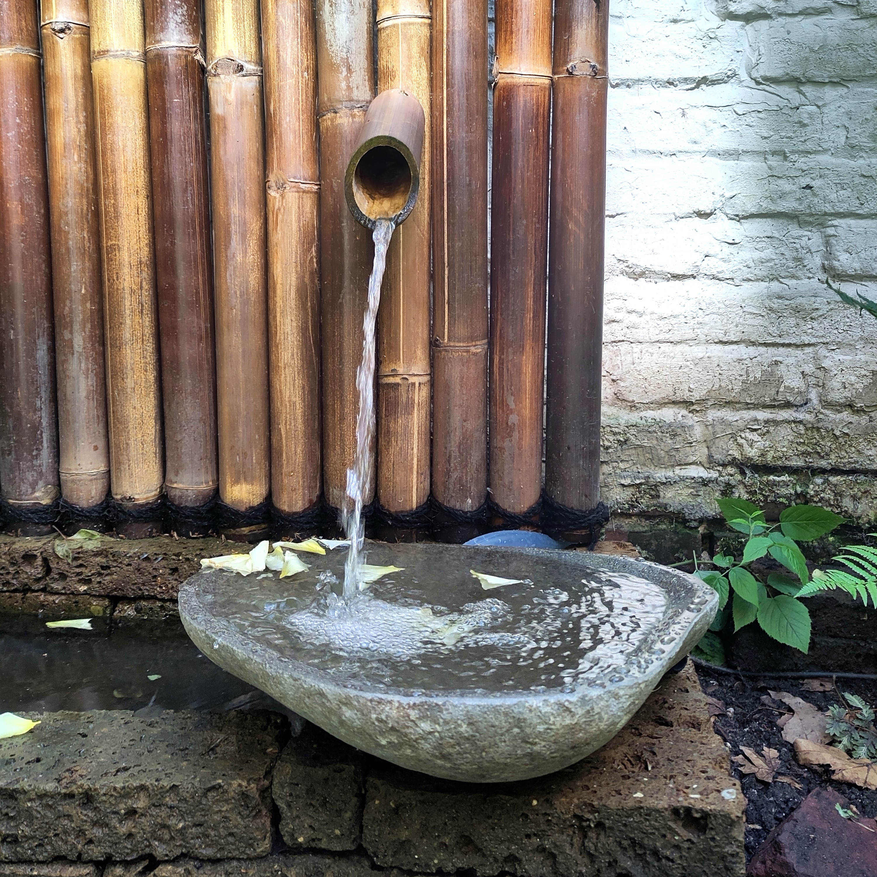 BambusBASIS Steinschale Flussstein 