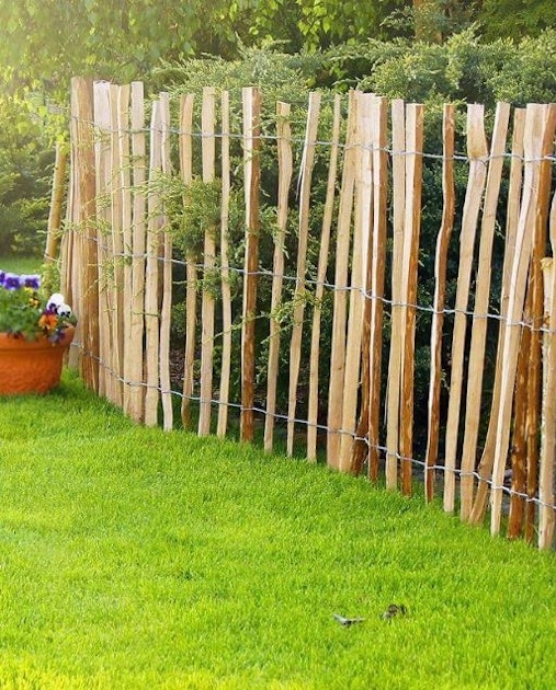 Noor Staketenzaun Berg-Haselnuss 5 oder 10 Meter Rolle